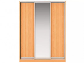 Шкаф-купе Наоми (ЛДСП + Зеркало + ЛДСП ) в Тюмени - mebel-tymen.ru | фото