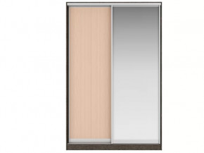 Шкаф-купе Рене (Фасад ЛДСП + Фасад Зеркало) в Тюмени - mebel-tymen.ru | фото