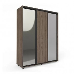 Шкаф-купе Удачный ОУ 18-4-110 в Тюмени - mebel-tymen.ru | фото