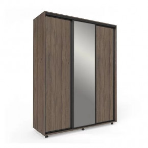 Шкаф-купе Удачный ОУ 18-6-010 в Тюмени - mebel-tymen.ru | фото