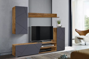 Шкаф многоцелевого назначения "Прага-6" New Таксония / софт графит в Тюмени - mebel-tymen.ru | фото