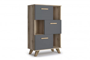 Шкаф низкий с нишами "Вега Скандинавия" Дуб каньон/Силк флай в Тюмени - mebel-tymen.ru | фото