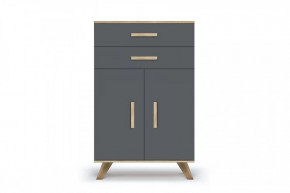 Шкаф низкий "Вега Скандинавия" Дуб каньон/Силк флай в Тюмени - mebel-tymen.ru | фото