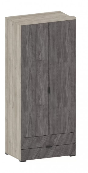 Шкаф Шаде ШК-2905 в Тюмени - mebel-tymen.ru | фото