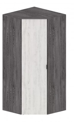 Шкаф Шаде ШК-2910 в Тюмени - mebel-tymen.ru | фото