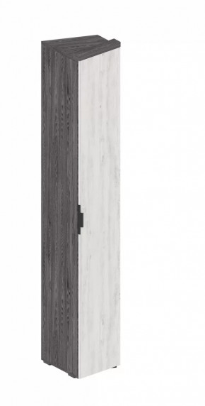 Шкаф Шаде ШК-2931 в Тюмени - mebel-tymen.ru | фото