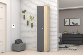 Шкаф ШК-01 Монако в Тюмени - mebel-tymen.ru | фото