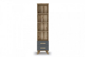Шкаф-стеллаж 450 "Вега Скандинавия" Дуб каньон/Силк флай в Тюмени - mebel-tymen.ru | фото