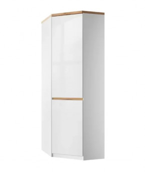 Шкаф угловой 1DGL, TAURUS в Тюмени - mebel-tymen.ru | фото