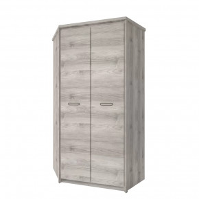 Шкаф угловой 2D, JAZZ в Тюмени - mebel-tymen.ru | фото