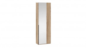 Шкаф угловой (366) с 1 зеркальной дверью «Порто» Яблоня Беллуно, Графит в Тюмени - mebel-tymen.ru | фото