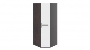 Шкаф угловой с 1-ой глухой дверью «Фьюжн» в Тюмени - mebel-tymen.ru | фото