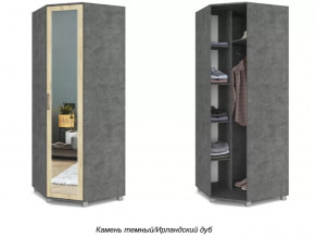 Шкаф угловой с зеркалом Ева Е58 в Тюмени - mebel-tymen.ru | фото