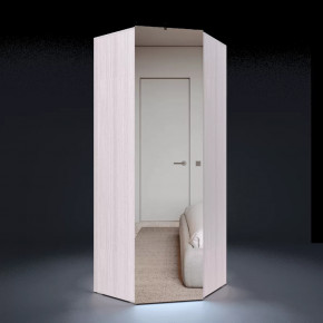 Шкаф угловой ТРИО Серебряный орех/Ясень шимо светлый в Тюмени - mebel-tymen.ru | фото