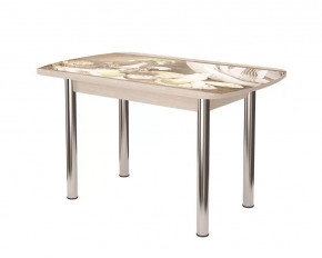 Стол Бостон, ф/п Прованс, 900*600мм, дуб атланта/опоры брифинг в Тюмени - mebel-tymen.ru | фото