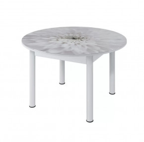 Стол круглый Бостон раздвижной, фотопечать Флоренс/белый/белые опоры брифинг в Тюмени - mebel-tymen.ru | фото