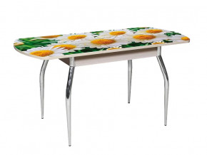 Стол обеденный Грация-2 1550 раздвижной фотопечать R 007 в Тюмени - mebel-tymen.ru | фото