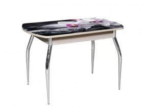 Стол обеденный Грация раздвижной фотопечать R 041 в Тюмени - mebel-tymen.ru | фото