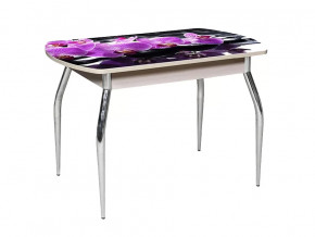 Стол обеденный Грация раздвижной фотопечать R 045 в Тюмени - mebel-tymen.ru | фото