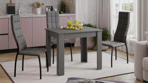 Стол обеденный «Промо» тип 1 Серый графит в Тюмени - mebel-tymen.ru | фото