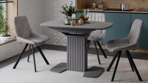 Стол обеденный раздвижной «Хилтон» Тип 1 Графит матовый, Стекло матовое серое в Тюмени - mebel-tymen.ru | фото