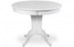 Стол Орион-5 D=1100(1450)*800 Категория Эмаль в Тюмени - mebel-tymen.ru | фото