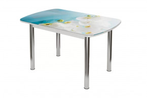 Стол овальный Бостон Белая орхидея, 900*600 мм, белая орхидея/белый/хром брифинг в Тюмени - mebel-tymen.ru | фото