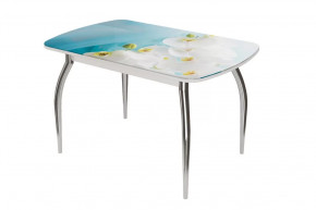 Стол овальный Бостон Белая орхидея, 900*600 мм, фотопечать/белый/хром триумф в Тюмени - mebel-tymen.ru | фото