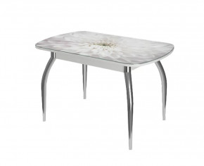 Стол овальный Бостон Флоренс, белый/фотопечать/хром триумф в Тюмени - mebel-tymen.ru | фото