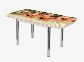 Стол раздвижной Бостон-3 ф/п Бамбук, 1100*700 мм, дуб атланта/хром брифинг в Тюмени - mebel-tymen.ru | фото