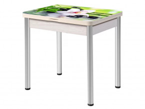 Стол раздвижной Ника опоры круглые хром #221556622 в Тюмени - mebel-tymen.ru | фото