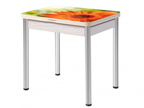 Стол раздвижной Ника опоры круглые хром #400667974 в Тюмени - mebel-tymen.ru | фото