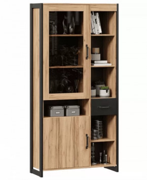 Техно ЛД.678010.000 Шкаф (Дуб Золотой/Чёрный) в Тюмени - mebel-tymen.ru | фото
