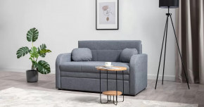 Тео (120) Диван-кровать Danco 995 (серый) арт. ТД 909 в Тюмени - mebel-tymen.ru | фото