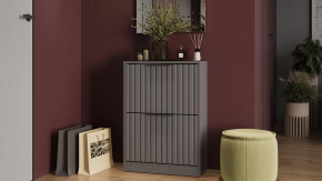 Тумба для обуви «Хилтон» Исп.2 Серый графит, Графит матовый в Тюмени - mebel-tymen.ru | фото