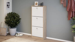 Тумба для обуви «Тетра» Тип 1 Исп. 2 в Тюмени - mebel-tymen.ru | фото