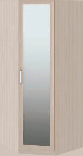 Волкер подростковая М01 Шкаф угловой в Тюмени - mebel-tymen.ru | фото