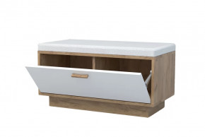 ЭГО Об-1 Обувница с 1дверью, дуб крафт золотой/белый глянец Диал в Тюмени - mebel-tymen.ru | фото